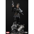 Winter Soldier