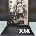 XM Display Plaques