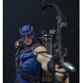 Hawkeye