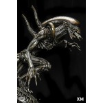 Alien Warrior